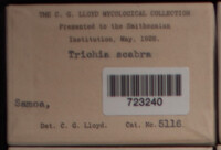 Image Associated With the Occurence